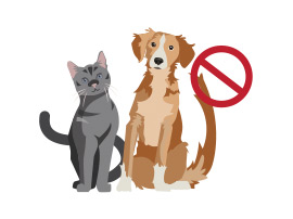 Image of Cat and Dog